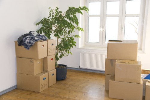 Manager checking records as part of a man and van complaints process